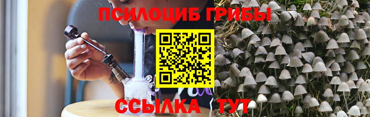 Галлюциногенные грибы мухоморы  Вход с VPN  где купить   Великий Устюг 