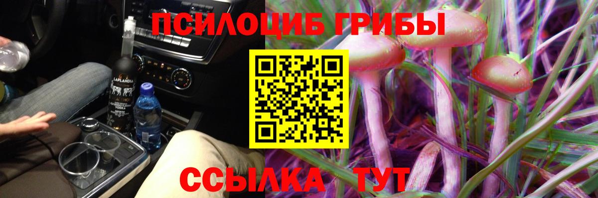 Псилоцибиновые грибы MAGIC MUSHROOMS Великий Устюг
